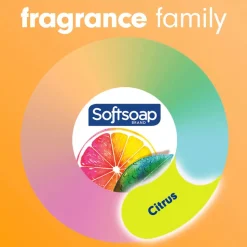 Softsoap Antibacterial Liquid Hand Soap Pump, 11.25 (332.7 mL) oz., Pack of 6, Crisp Clean Scent - 03562CT