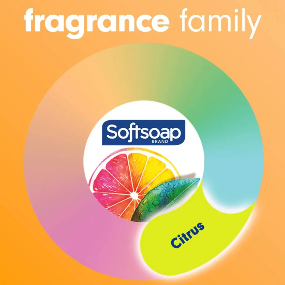 Softsoap Antibacterial Liquid Hand Soap Pump, 11.25 (332.7 mL) oz., Pack of 6, Crisp Clean Scent - 03562CT