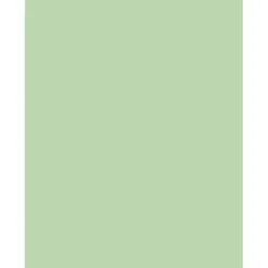 Sparco Color Multi-Use Printer & Copy Paper, Green, Letter (8.5