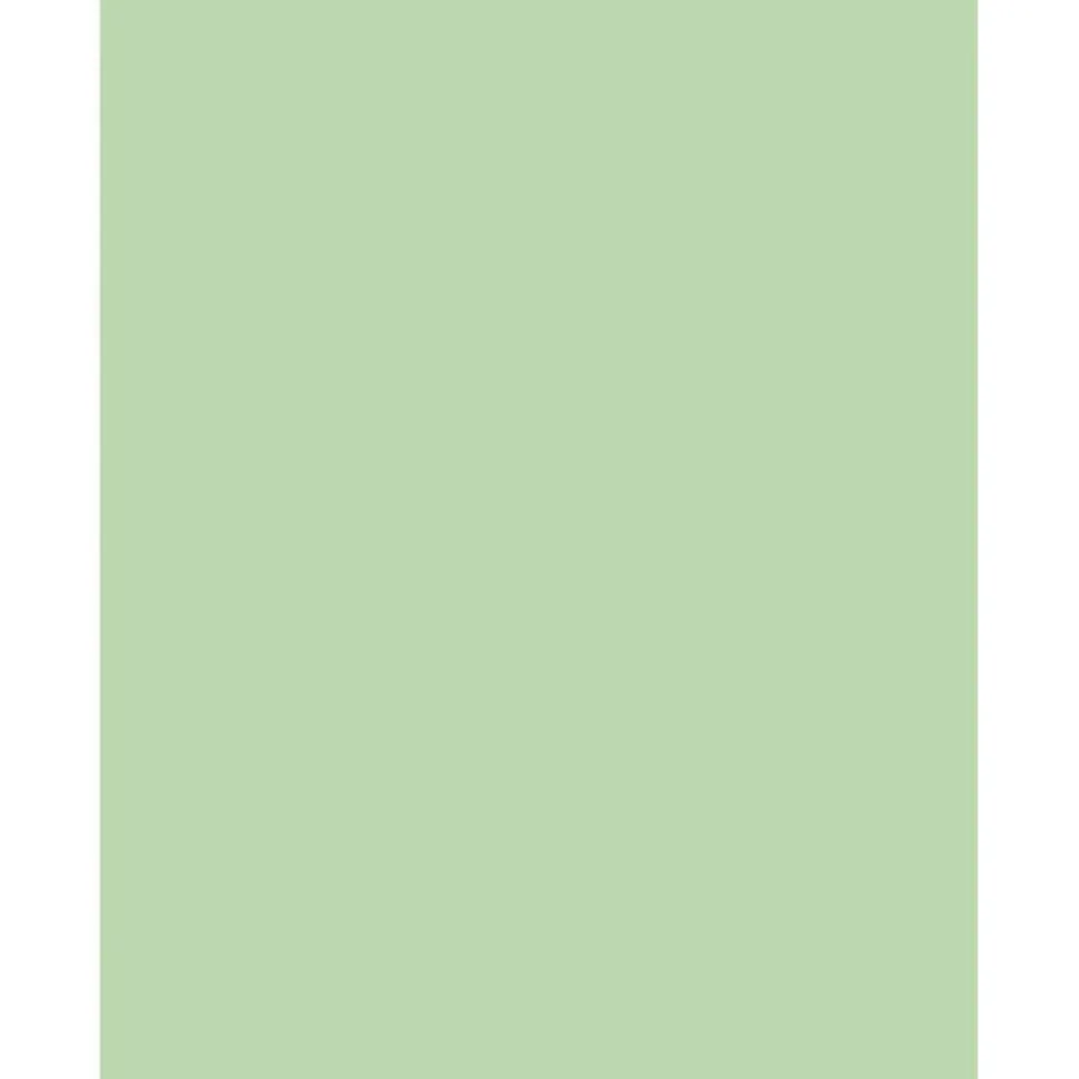 Sparco Color Multi-Use Printer & Copy Paper, Green, Letter (8.5" x 11"), 500 Sheets Per Ream, 20 Lb, 90 Brightness, 30% Recycled