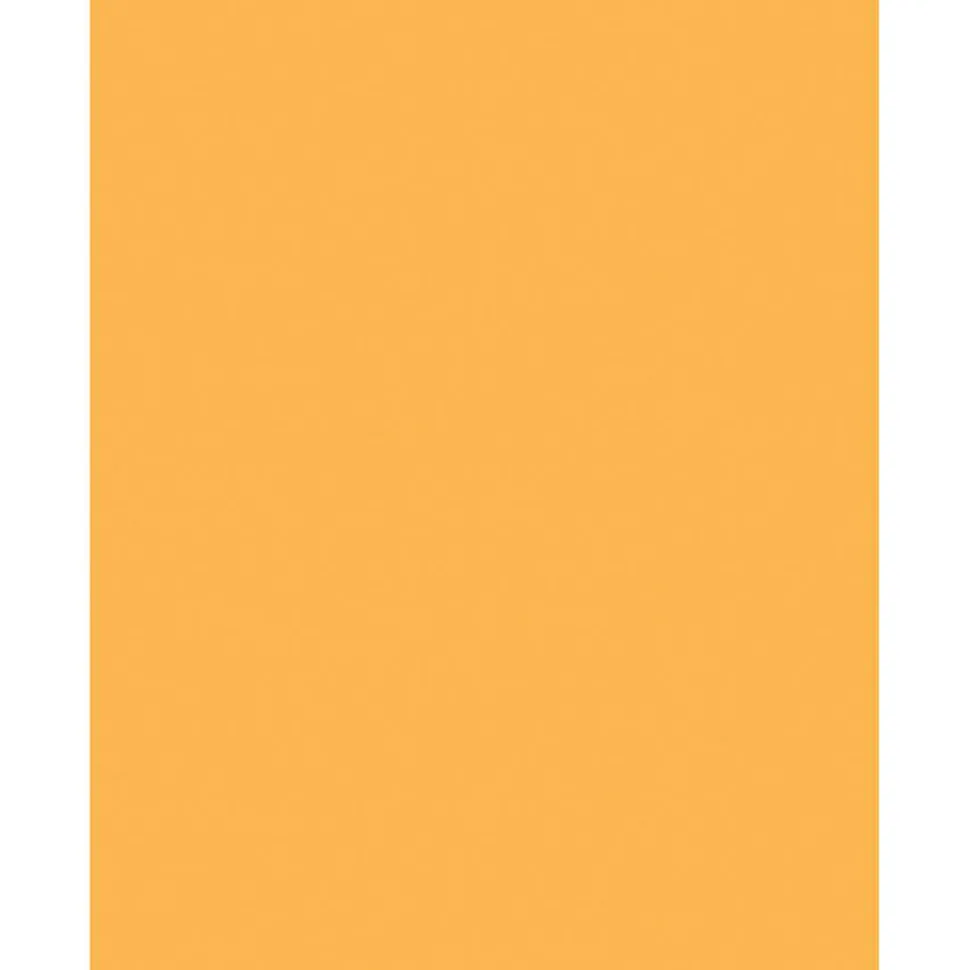 Sparco Color Multi-Use Printer & Copy Paper, Goldenrod, Letter (8.5" x 11"), 500 Sheets Per Ream, 20 Lb, 90 Brightness, 30% Recycled