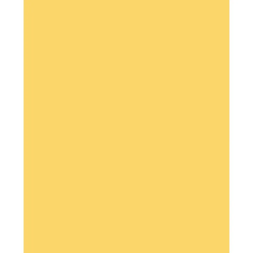 Sparco Color Multi-Use Printer & Copy Paper, Canary, Letter (8.5" x 11"), 500 Sheets Per Ream, 20 Lb, 90 Brightness, 30% Recycled