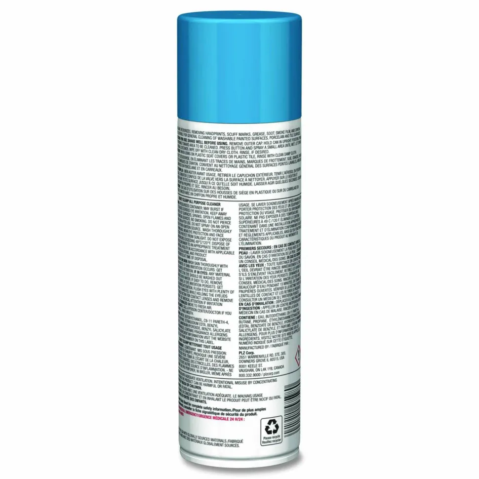Sprayway PRO LINE Crazy Clean, Unscented, 19 oz Aerosol Spray, 12/Carton