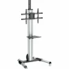 StarTech.com TV Cart - For 32" to 75" Displays - AV Cart - Adjustable - Lockable Wheels - Flat Screen TV Cart - STNDMTV70