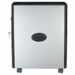 Storex Mobile Filing Cabinet with Metal Siding, 2 Letter-Size File Drawers, Silver/Black, 19" x 15" x 23"