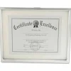 Universal Plastic Document Frame with Mat, 11 x 14 and 8.5 x 11 Inserts, Metallic Silver