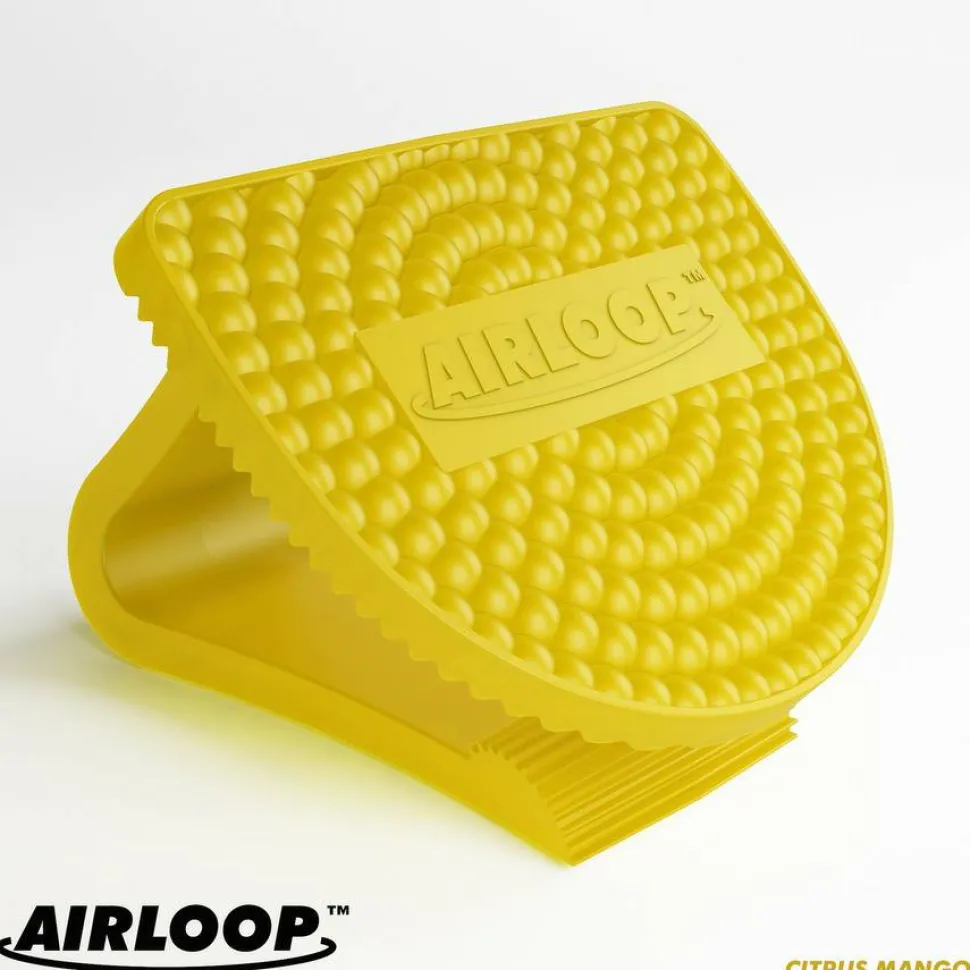 Vectair Systems Airloop Toilet Bowl Clip Air Freshener