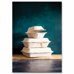Vegware Nourish Molded Fiber Takeout Containers, , 7.9 x 7.9 x 2.9, White, Sugarcane, 200/Carton