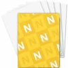 Wausau Astrobrights Inkjet/Laser Print Color Paper, Letter Size (8 1/2" x 11"), 24 Lb, Stardust White, Ream Of 500 Sheets