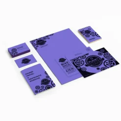 Wausau Astrobrights Multi-Use Card Stock, Venus Violet, Letter (8.5