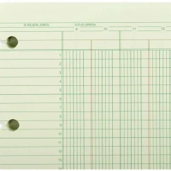 Wilson Jones Columnar Ruled Sheets, 4-Hole, 30 Lines, 20 Columns, 9 1/4