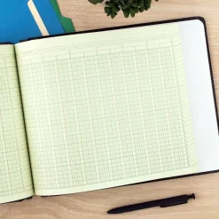Wilson Jones Columnar Ruled Sheets, 4-Hole, 30 Lines, 20 Columns, 9 1/4