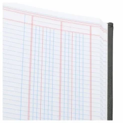 Wilson Jones Single Page Columnar Book, 9 1/4