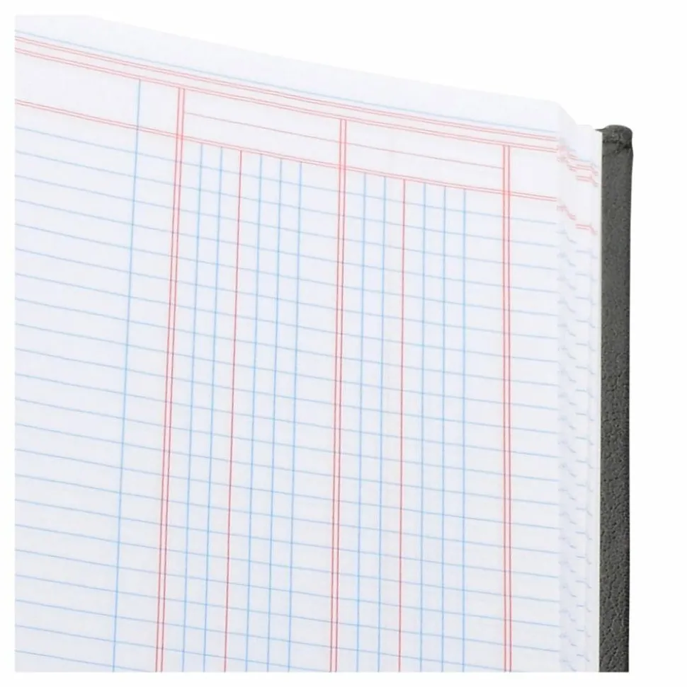 Wilson Jones Single Page Columnar Book, 9 1/4" x 7", 2 Columns, 40 Sheets