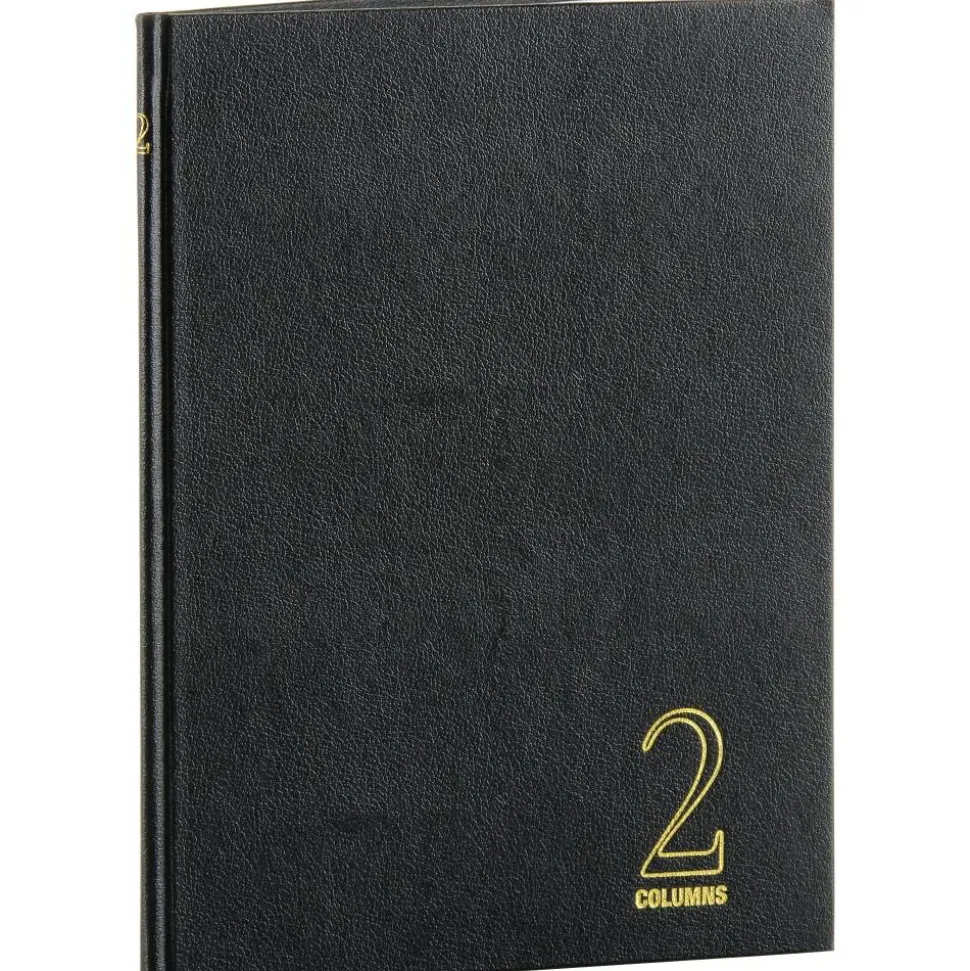 Wilson Jones Single Page Columnar Book, 9 1/4" x 7", 2 Columns, 40 Sheets