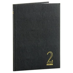 Wilson Jones Single Page Columnar Book, 9 1/4