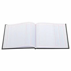 Wilson Jones Single Page Columnar Book, 9 1/4