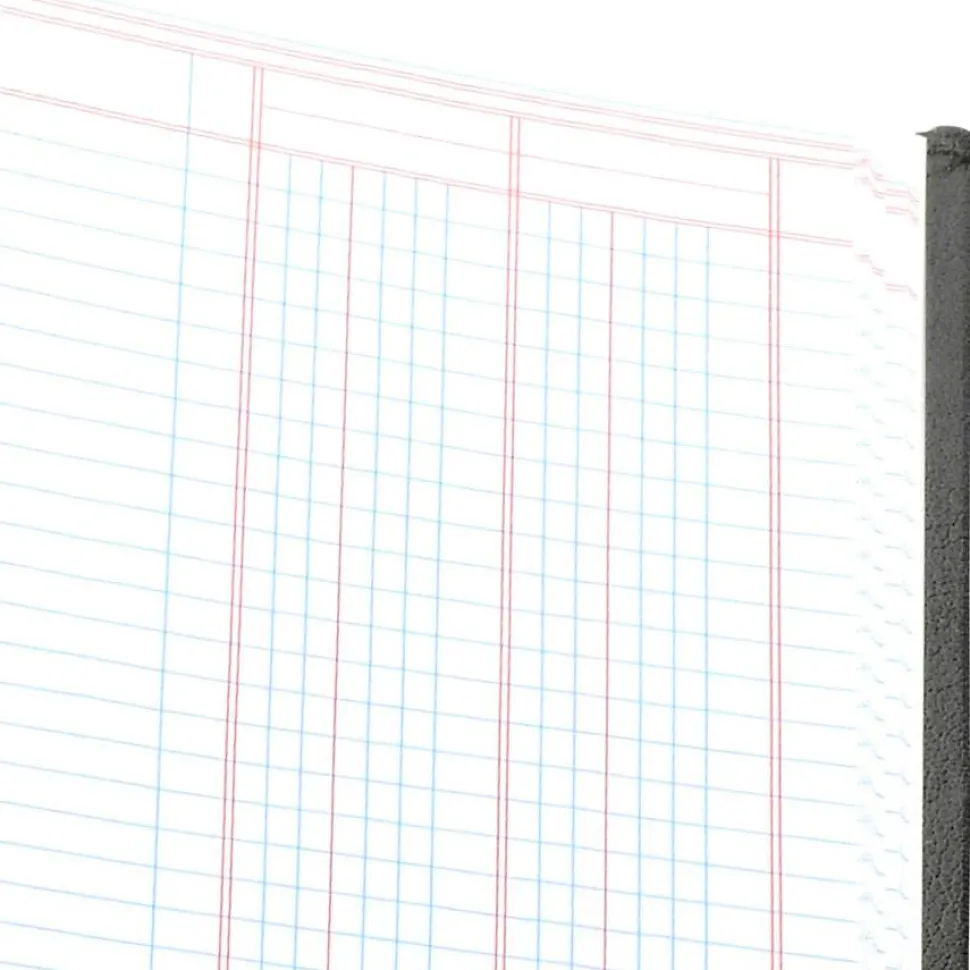 Wilson Jones Single Page Columnar Book, 9 1/4" x 7", 2 Columns, 40 Sheets