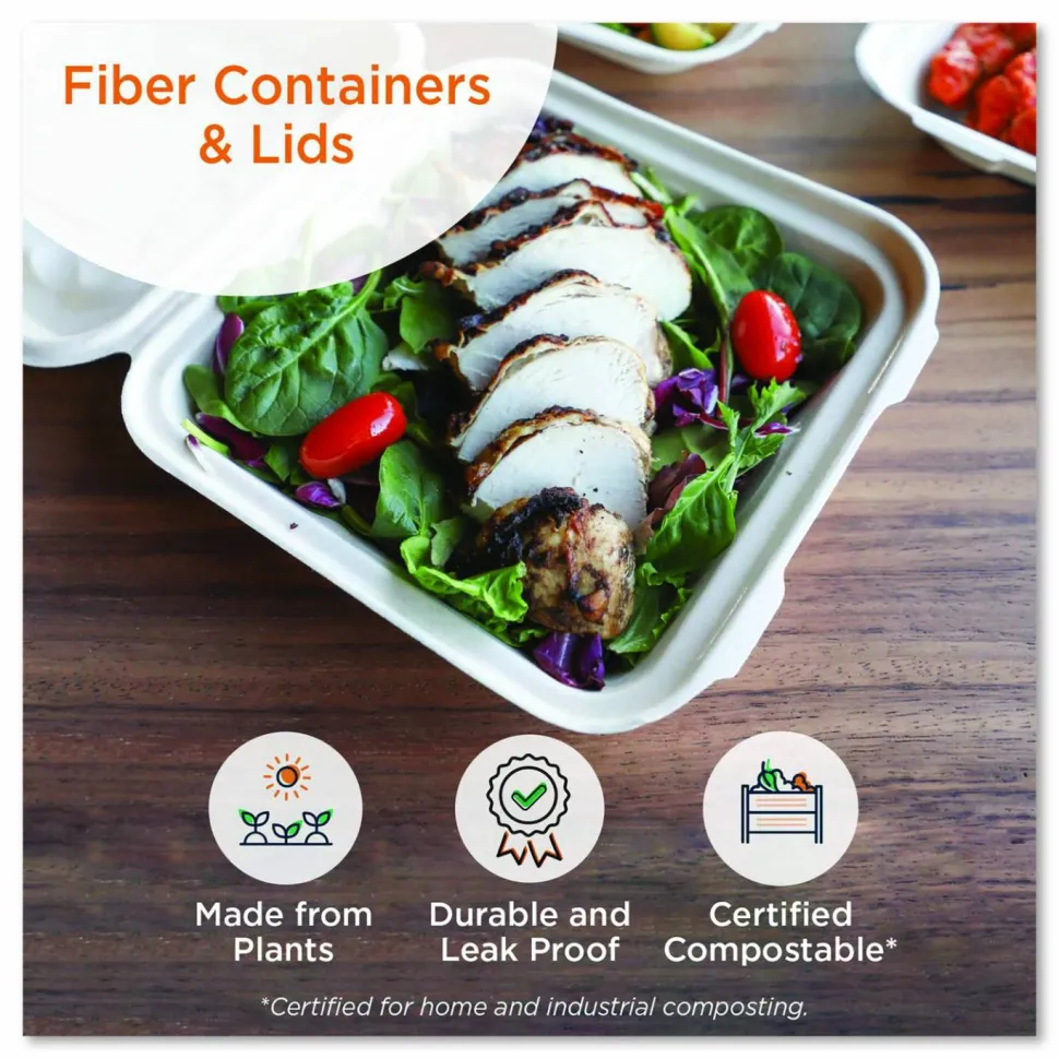 World Centric Fiber Hinged Takeout Containers, 7 x 8.3 x 3.2, Natural, Paper, 300/Carton