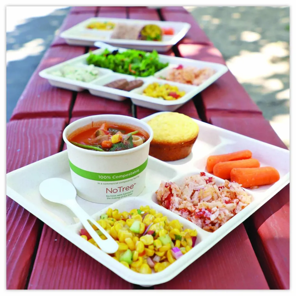 World Centric Fiber Foodservice Trays, 5 Compartments, 8.5 x 10.24 x 1.01, Natural, Paper, 400/Carton