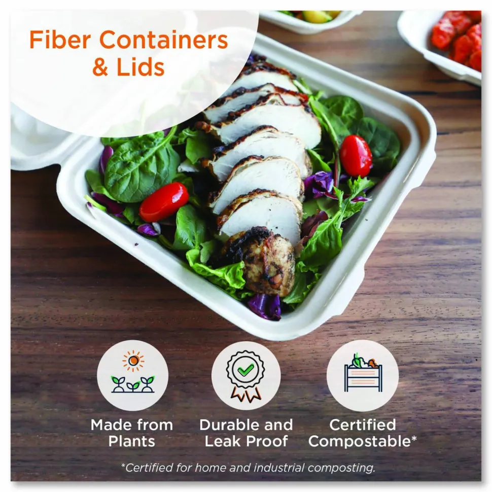 World Centric Fiber Foodservice Trays, 5 Compartments, 8.5 x 10.24 x 1.01, Natural, Paper, 400/Carton