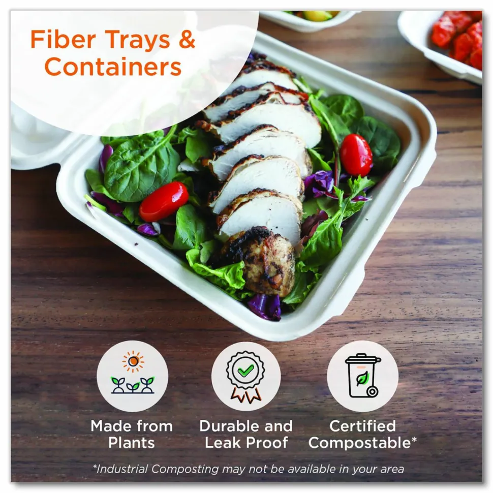 World Centric Laminated Fiber Meat and Produce Trays, PLA Lined, PFAS Free, 9.1 x 7.1 x 0.7, Natural, Paper, 500/Carton