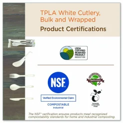 World Centric TPLA Bulk Cutlery, Spoon, Plastic, Light Beige, 1,000/Carton