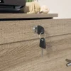 29-7/16"W x 18-1/2"D Lateral 2-Drawer File Cabinet, Spring Oak