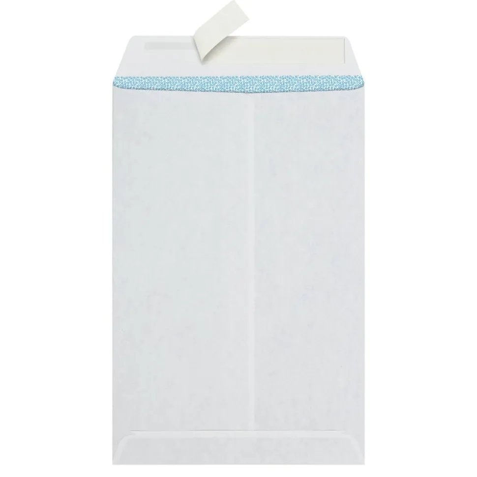 6" x 9" Catalog Envelopes, Clean Seal, White, Security, Box Of 100