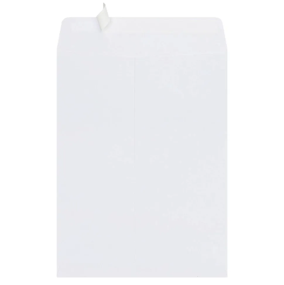 9" x 12" Catalog Envelopes, Clean Seal, White, Pack Of 25