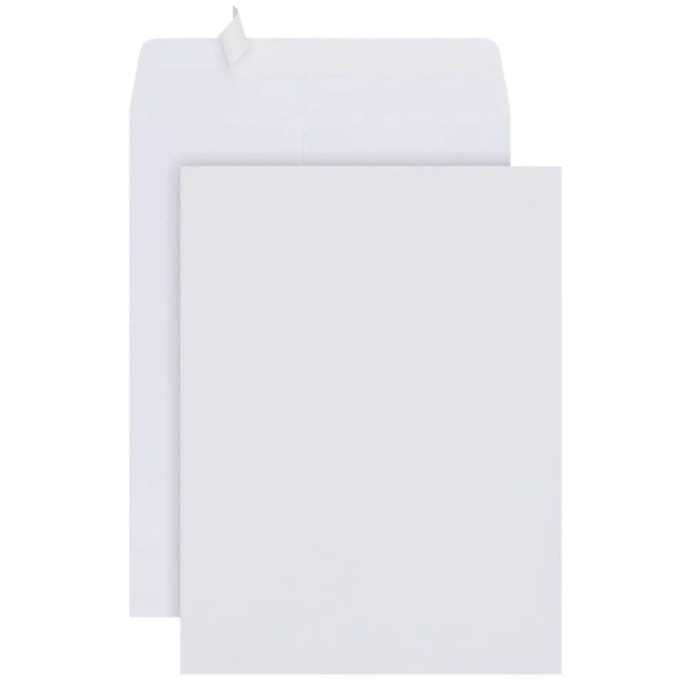 9" x 12" Catalog Envelopes, Clean Seal, White, Pack Of 25
