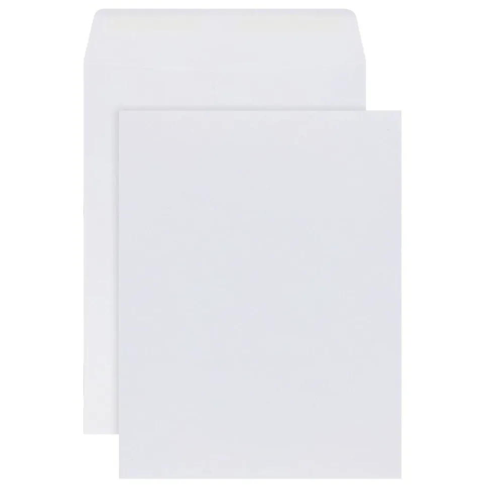 10" x 13" Catalog Envelopes, Gummed Seal, White, Box Of 250