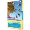 Xerox Vitality Colors Multi-Use Printer & Copy Paper, 1 Ream, Yellow, Ledger (11" x 17"), 500 Sheets Per Ream, 20 Lb, 30% Recycled
