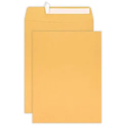 10" x 13" Manila Catalog Envelopes, Clean Seal, Brown Kraft, Box Of 100