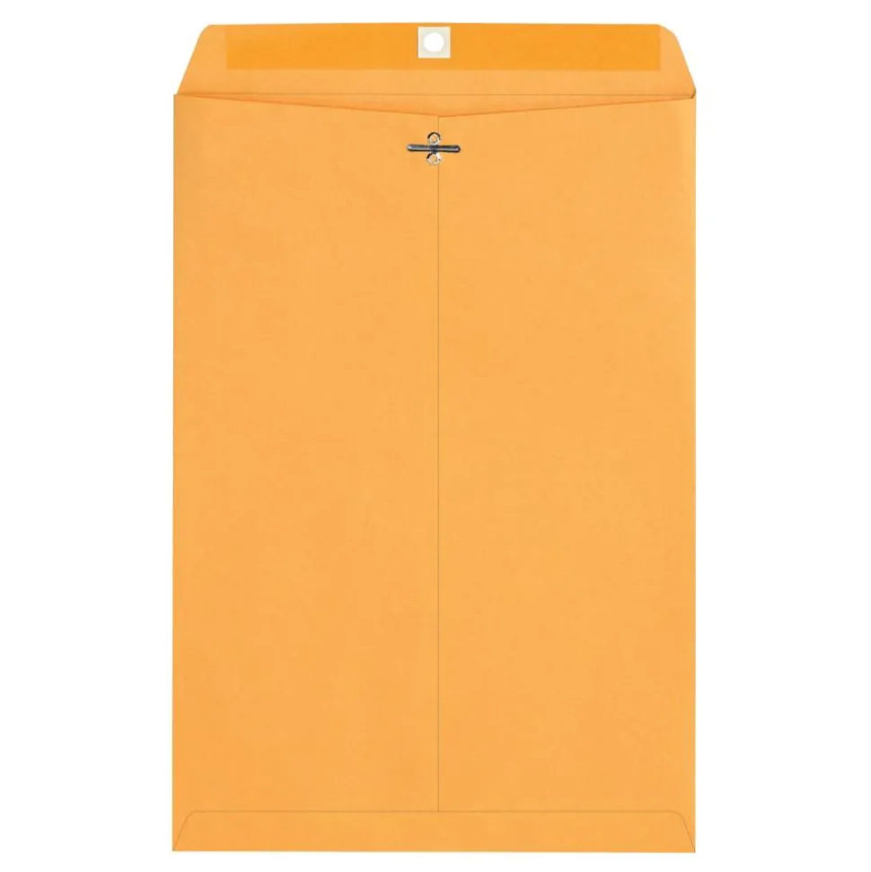 10" x 15" Manila Envelopes, Clasp Closure, Brown Kraft, Box Of 100