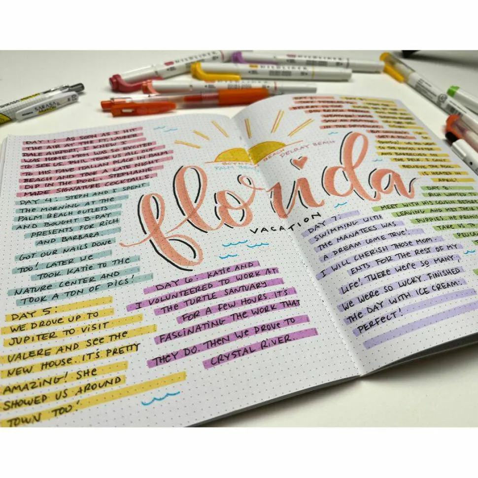 Zebra MILDLINER Dual Ended Creative Marker