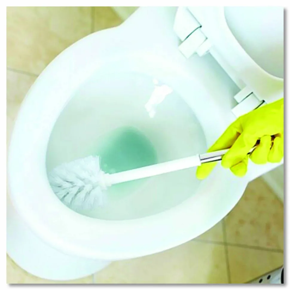 Zep Acidic Toilet Bowl Cleaner, Mint Scent, 32 oz Bottle