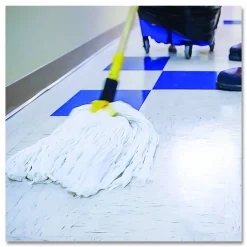 Zep Commercial No-Rinse Floor Disinfectant, Unscented, 1 gal Bottle
