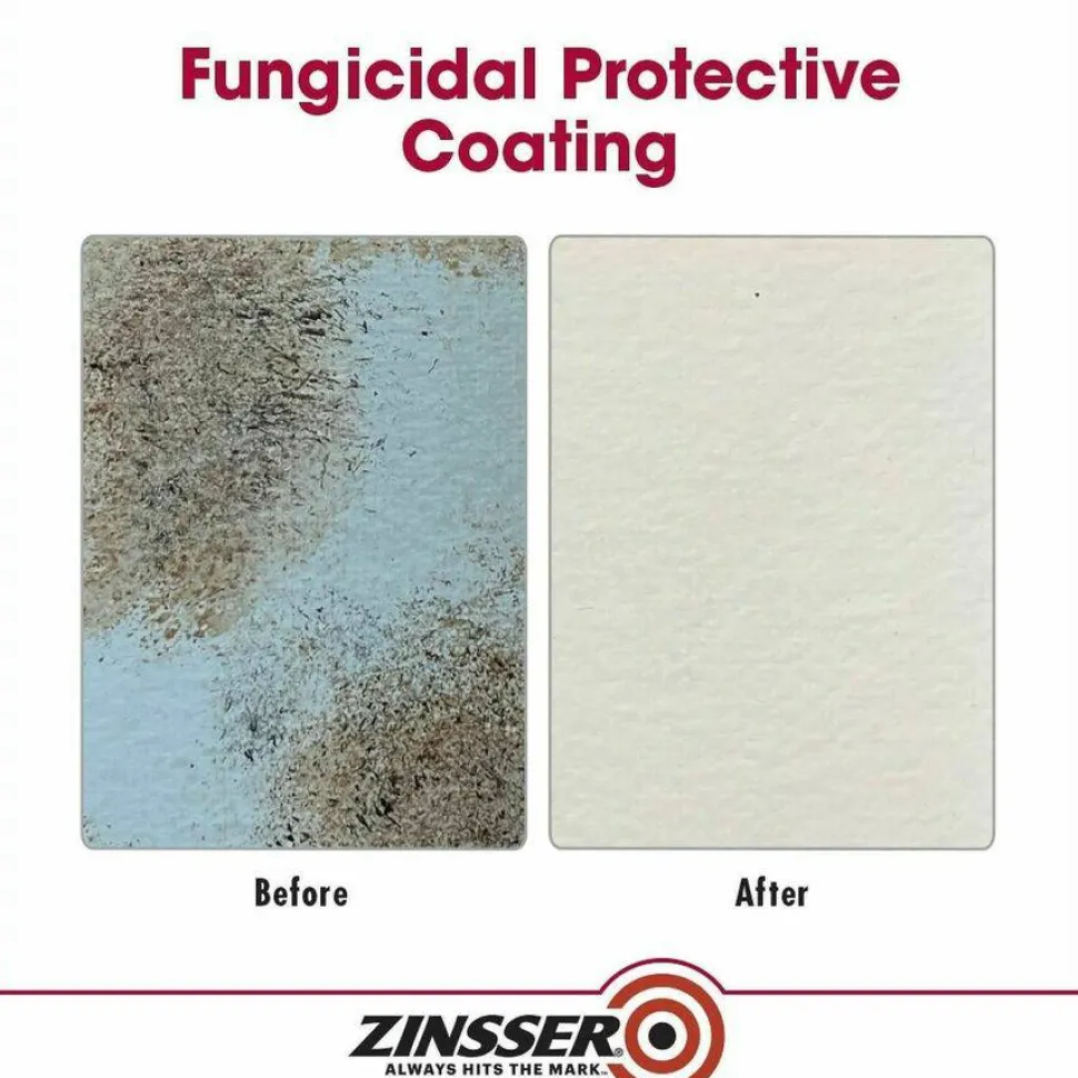Zinsser Mold Killing Primer