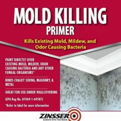 Zinsser Mold Killing Primer